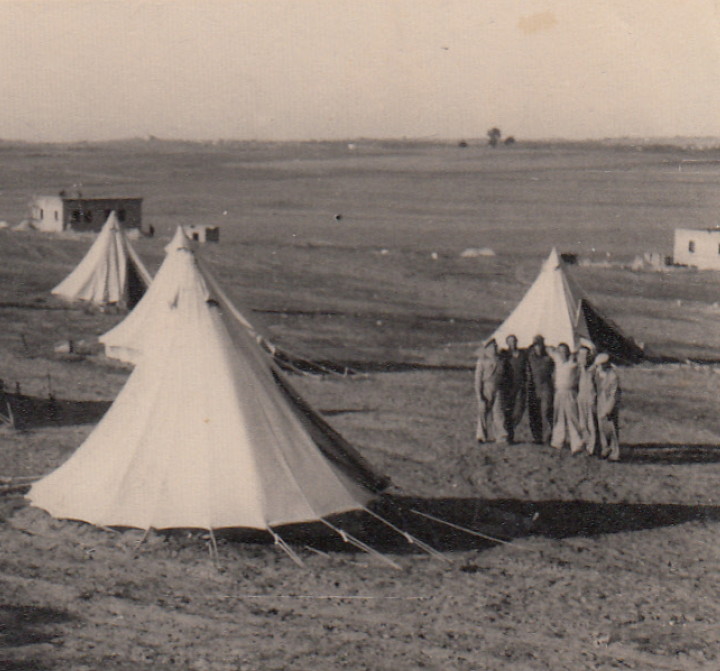 ארכיון מושב בית הלוי