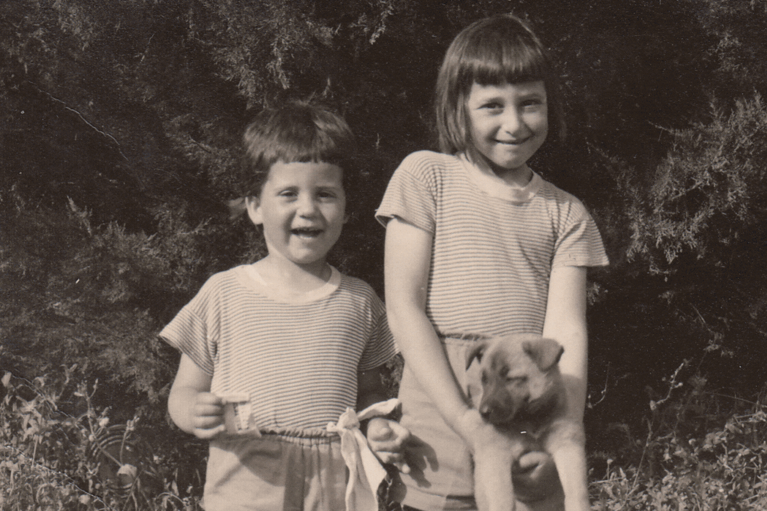 משפחות מושב בית הלוי