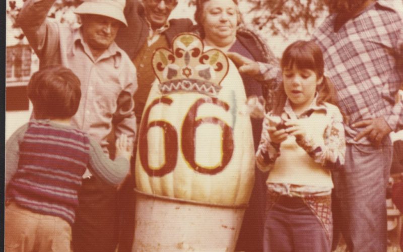 תחרות הדלעת הכי גדולה